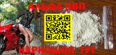 стаф Можга