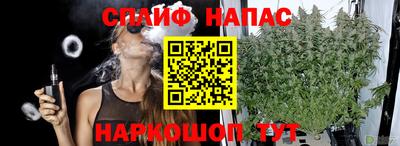 стаф Можга