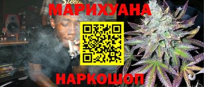 стаф Можга