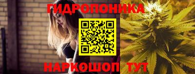 стаф Можга