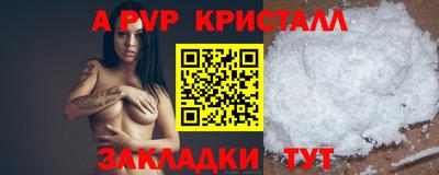 стаф Можга